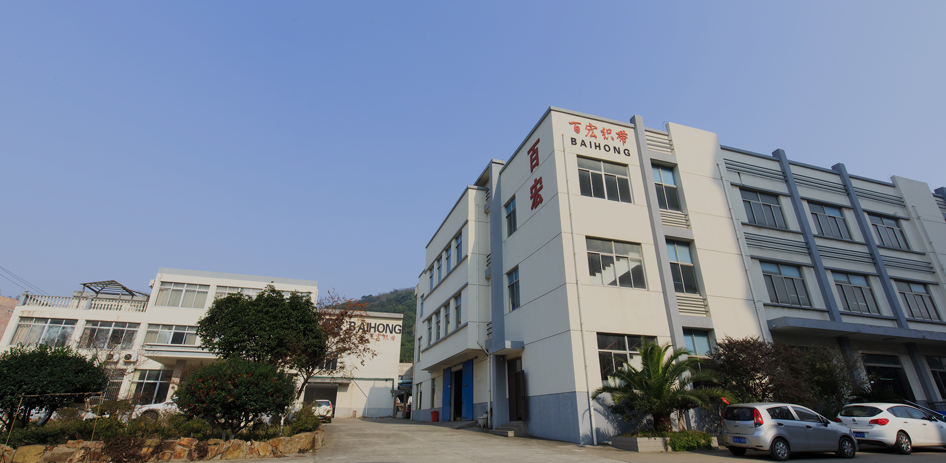 Baihong bemüht sich weiterhin, führend in der Webbranche zu werden 